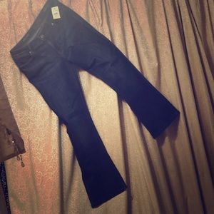 Cindy petite slim boot cut Keans